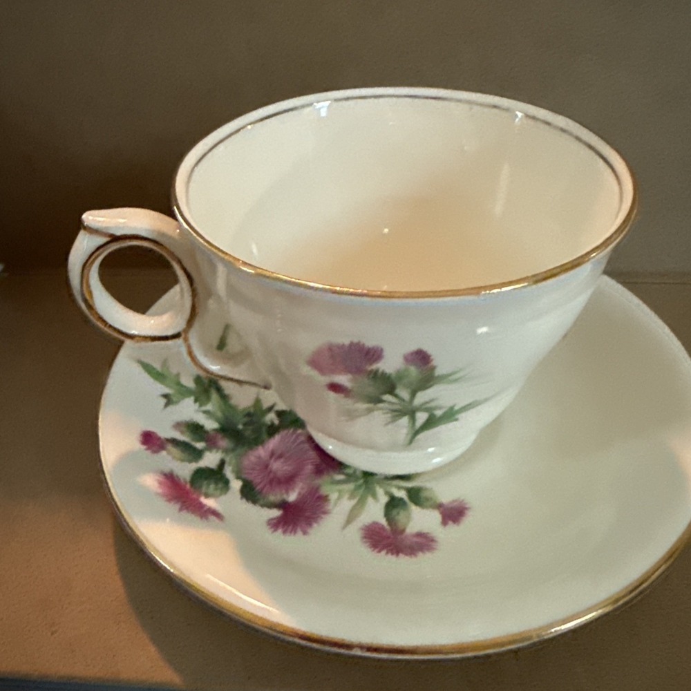 Vintage Porcelain Cup + Saucer Thistle ROYAL WINTON Grimwades Made In England